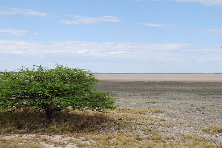 Blick in die Etosha-Pfanne