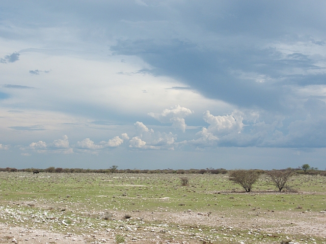 Dieses Gewitter lässt uns trocken