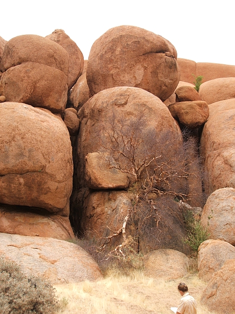 Isabella auf Vogelpirsch zwischen den Felsen