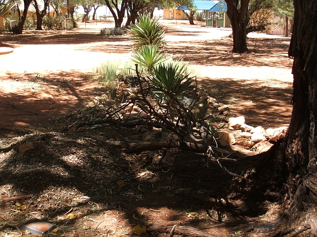 Obelix macht Kleinholz