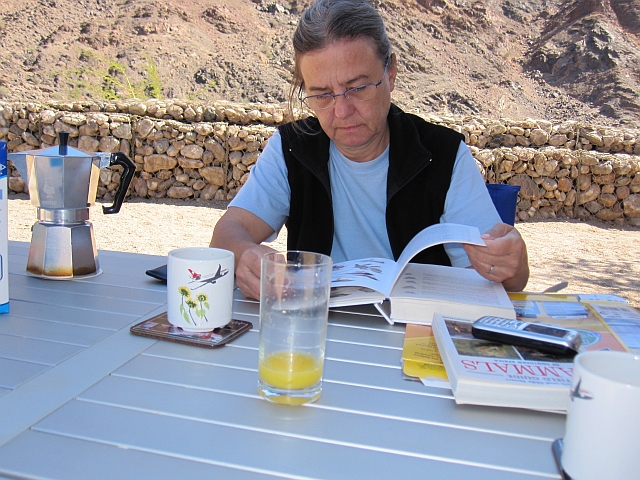 Isabella studiert nach dem Frühstück Vogelbestimmungsbücher