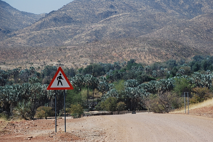 Der Palmenhain von Epupa Falls