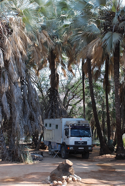 Unser schattiges Plätzchen im Palmenhain