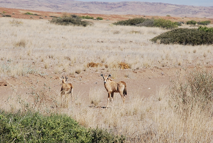 ... die beiden Kleinen haben stehen lassen