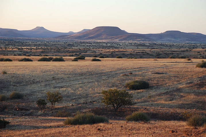 Landschaft bei Palmwag in der Abendsonne
