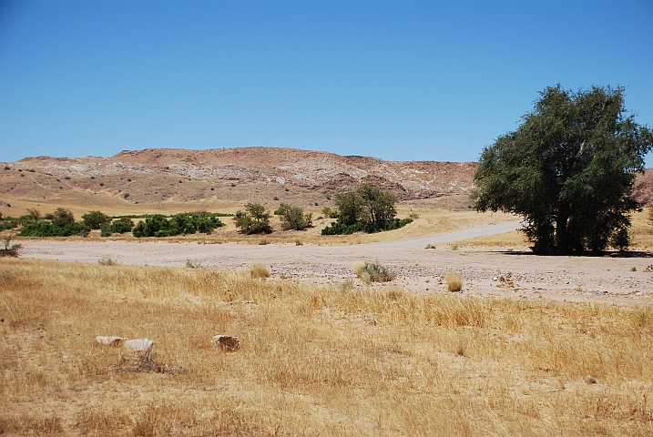 Vor fünfzehn Jahren standen wir hier am Flussbett vor reissendem Wasser