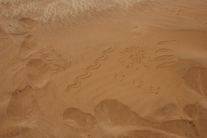 Erklärungszeichnungen im Sand
