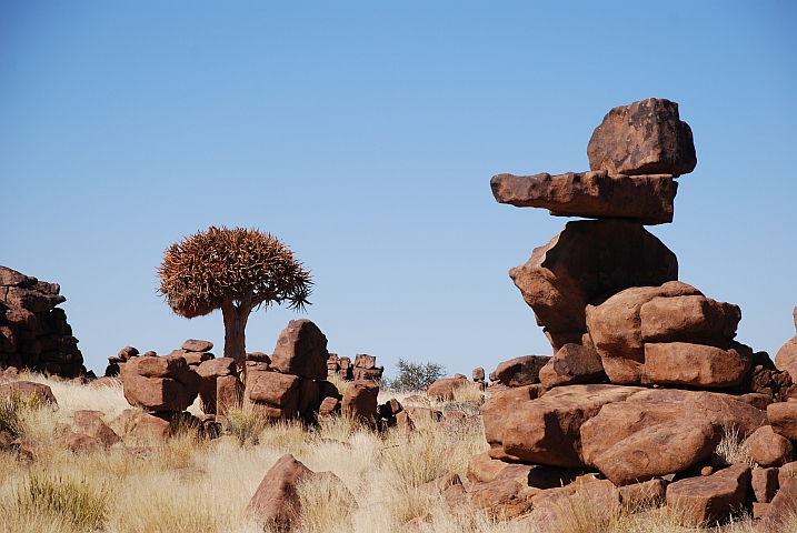 Aufeinandergetürmte Steine und Köcherbaum im Giant’s Playground