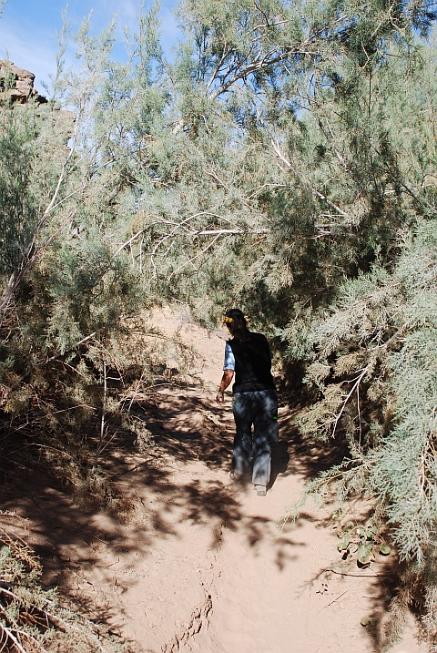 Isabella auf den staubigen Spuren der Fish River Canyon-Wanderer