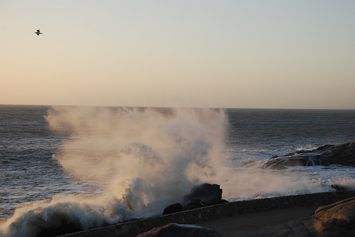 Gischt der Wellen auf der feuchteren Seite von Shark Island