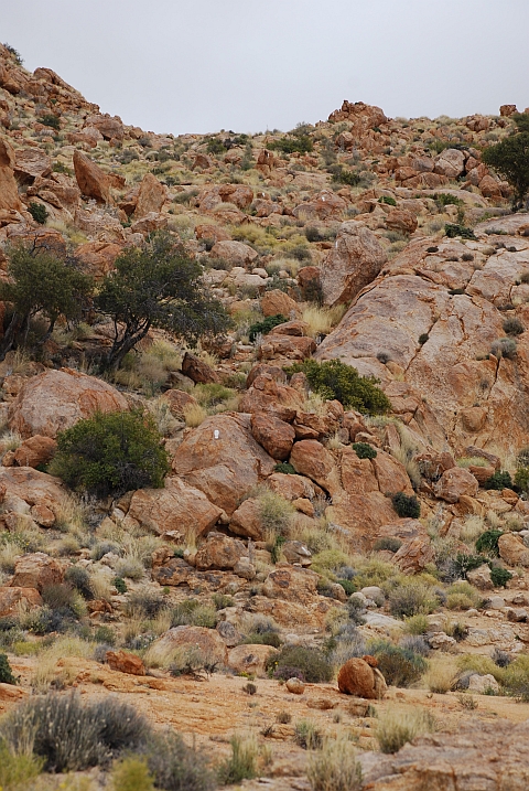 Der Aufstieg zum Aussichtspunkt in Klein Aus Vista