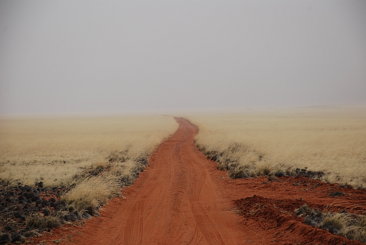 Kein Feldweg im November in der Schweiz, sondern ein Regentag am Rande der Namib