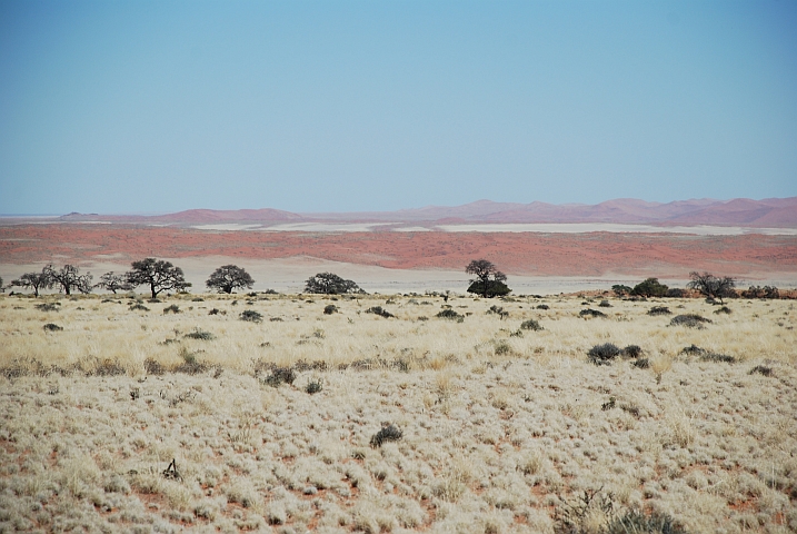 Landschaft am Rand der Namib