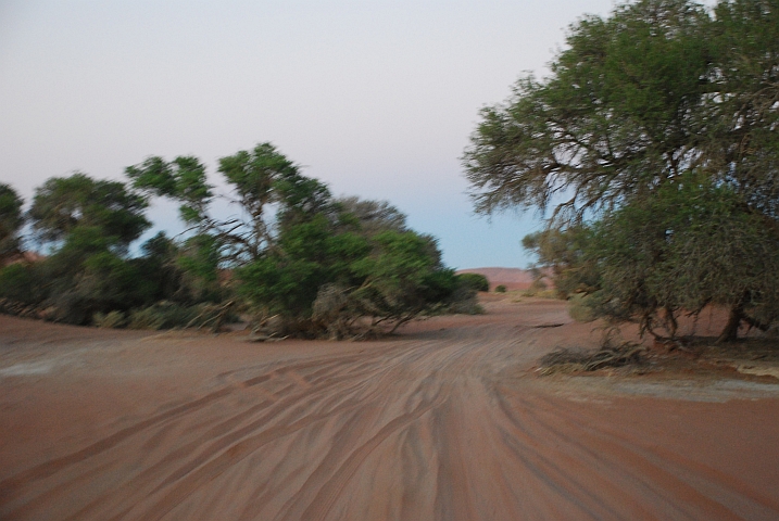Rüttelfahrt auf der Sandpiste zum Vlei