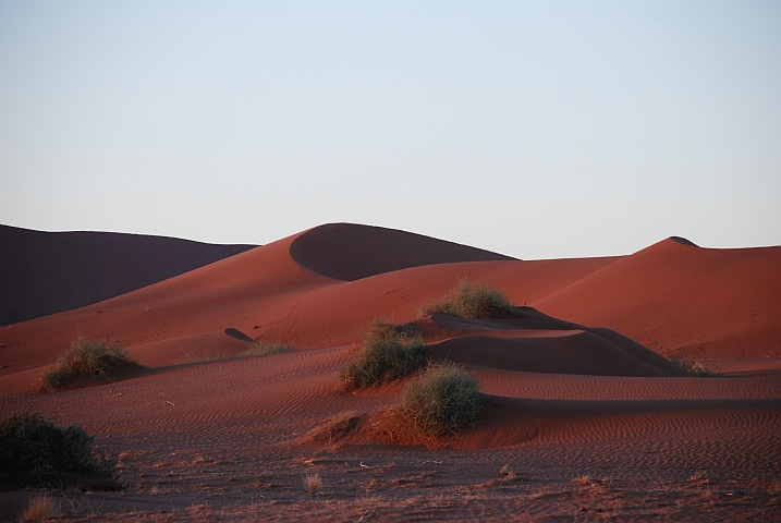 Die Sonne malt erste sanfte Farbtöne auf die Dünen