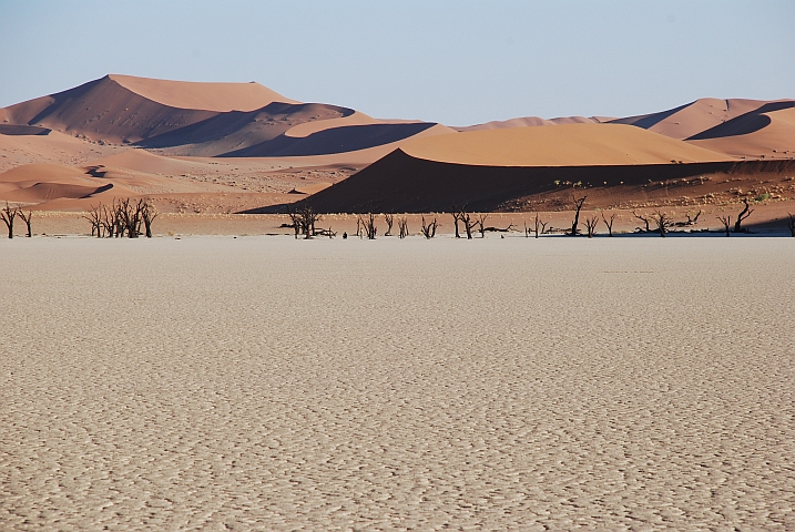 Dead Vlei