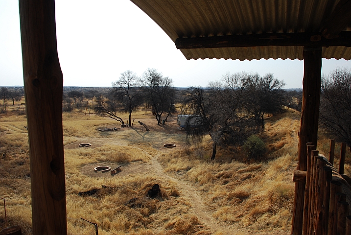 Obelix auf seinem Platz vom Hochsitz aus gesehen