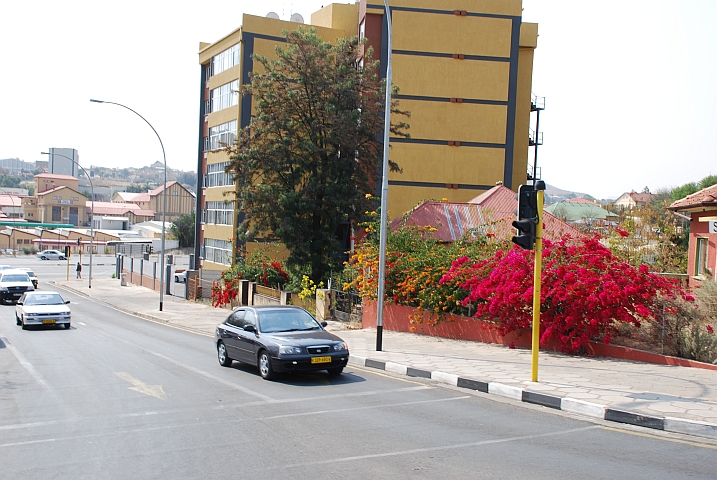 Farbig blühende Sträucher in Windhoek
