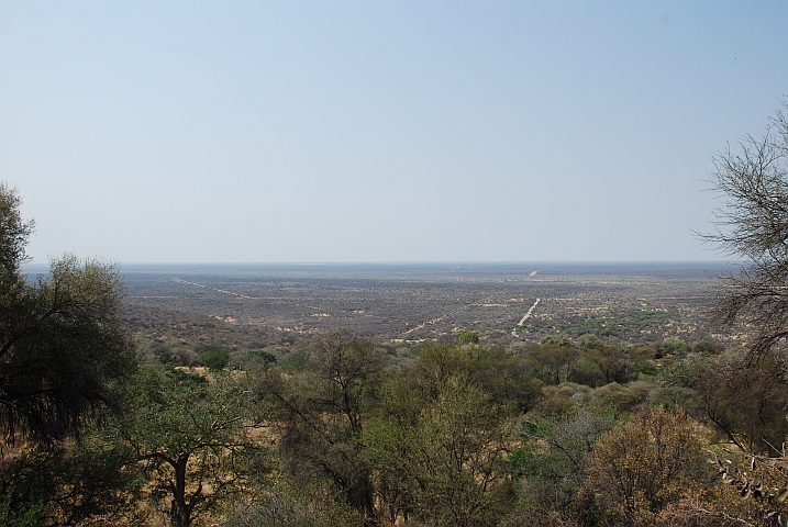 Aussicht auf die Strauchsavanne
