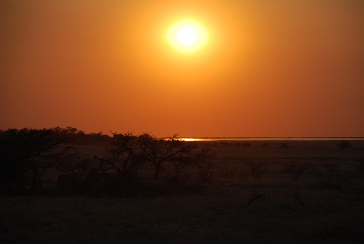 Die Sonne tief über der Etosha-Pfanne
