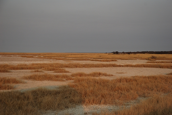 Landschaft am Morgen in der Nähe von Namutoni