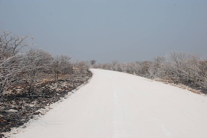 Spuren der Buschbrände