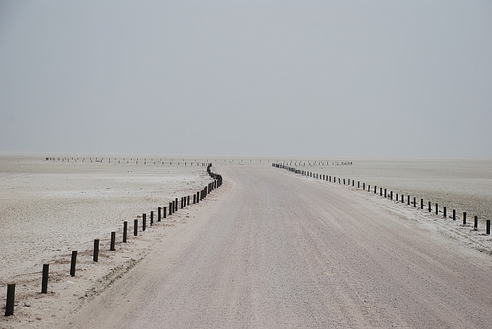 Der gut markierte Weg hinaus in die Etosha-Pfanne