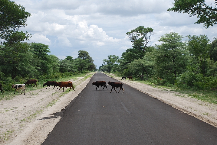 Zuerst dürfen wir noch auf viel begangenem Teer fahren ...