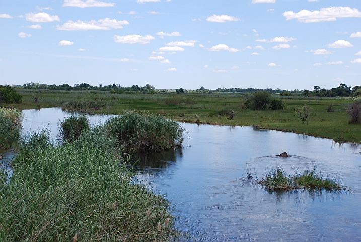 Der Kwando bei Kongola