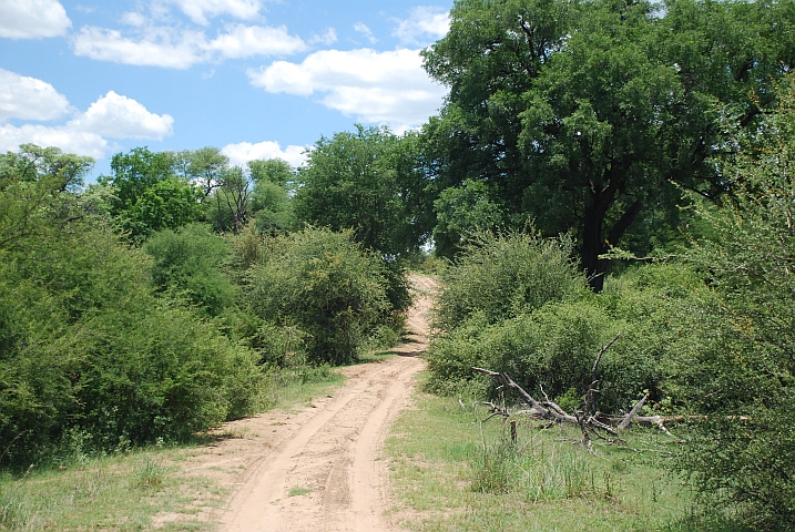 Sandige Piste durch den Nationalpark