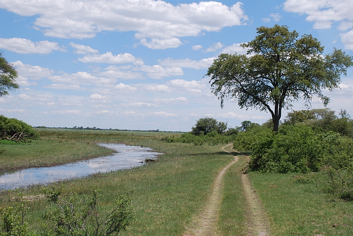 Piste einem Kwandoarm entlang