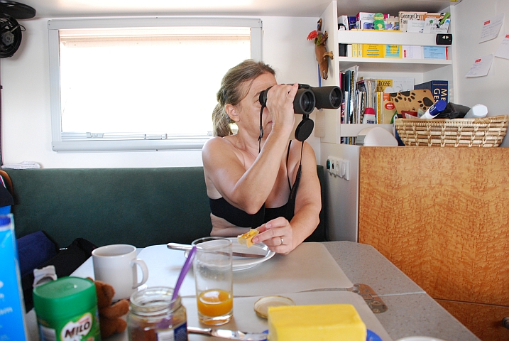 Isabella im Stress - oder frühstücken mit dem Feldstecher vor den Augen...