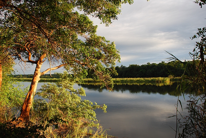 Morgenstimmung am Okavango