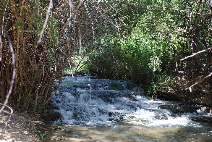 Teil der Popa-“Fälle“