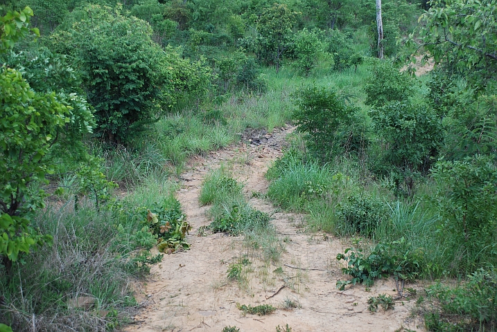 Selten befahrene Fahrwege im Park