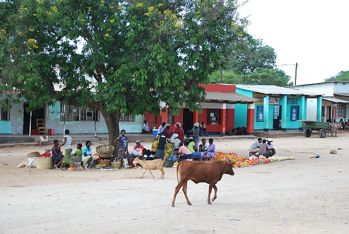 Kleiner Strassenmarkt zwischen Birchenough Bridge und Mutare