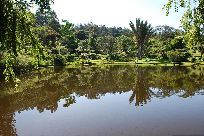 Der Botanische Garten von Vumba in den Bergen bei Mutare an der Grenze zu Mosambik
