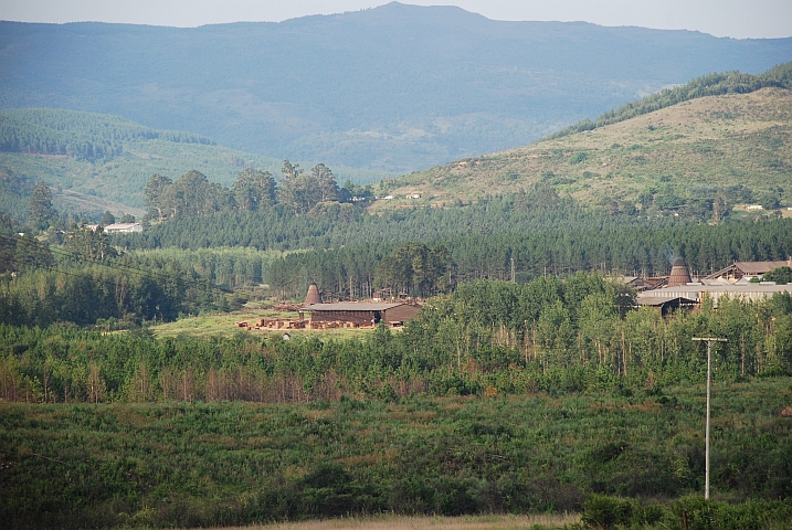Holzverarbeitung in Charter bei Chimanimani
