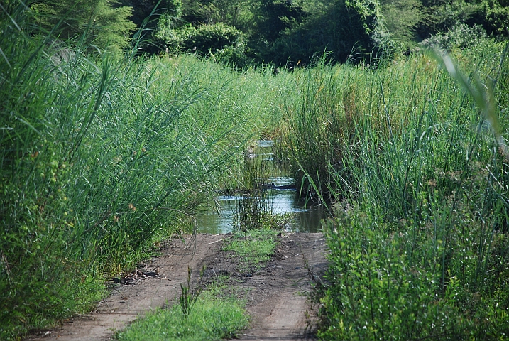 Nein, so haben wir uns den Flussübergang nicht vorgestellt