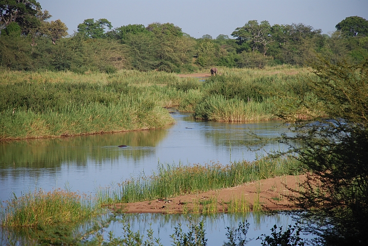Wer sucht der findet: Flusspferd, Krokodil und Elefant