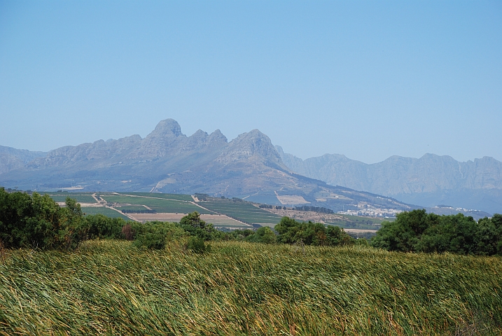 Wein- und andere Berge