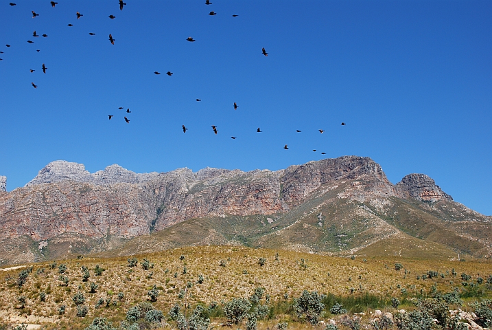 Am DuToitskloof Pass zwischen Paarl und Worcester