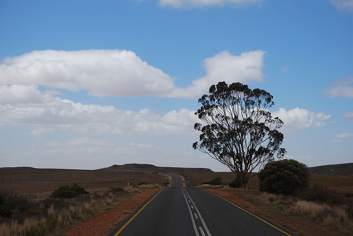 Strasse zwischen Bredasdorp und Swellendam