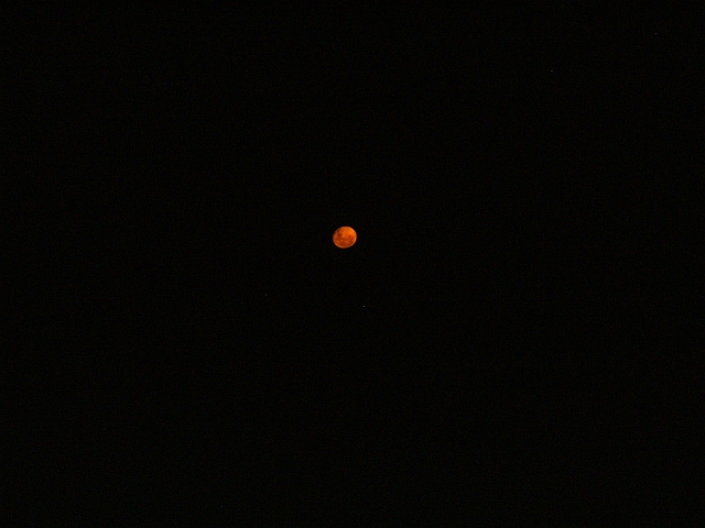 Vollmondnacht