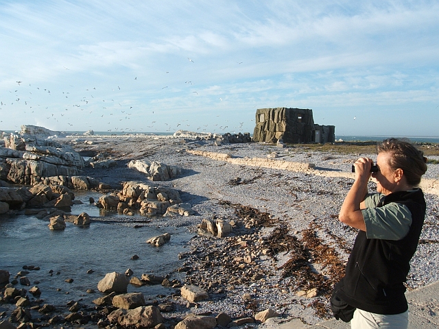 Isabella auf Bird Island