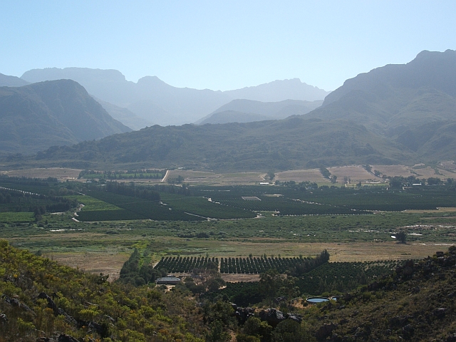 Aussicht über die Citrusplantagen im Olifantstal und die Zedernberge dahinter