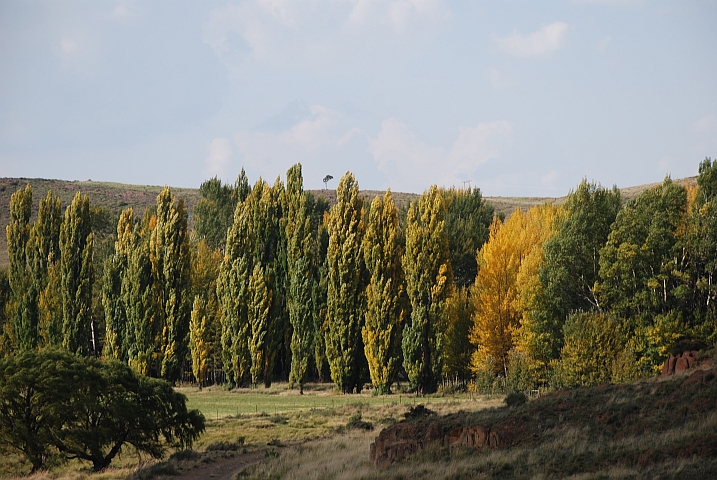 Herbststimmung