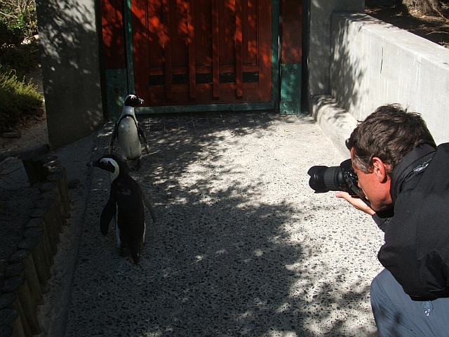 Der Aushilfsfotograf an der Arbeit