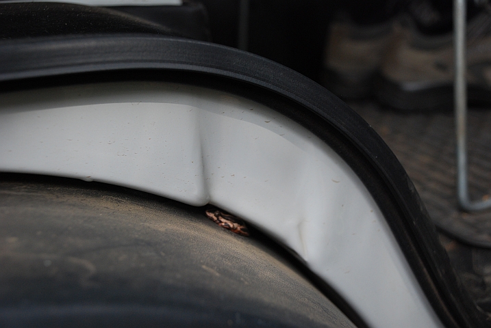 Da hat der kleine Frosch bei Obelix wohl Schutz vor dem Gewitter gesucht