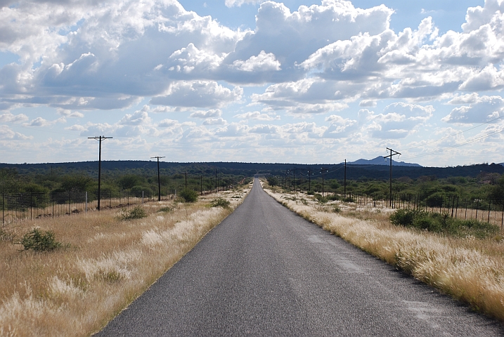 Landschaft fast wie im Krügerpark, wenn die Zäune nicht wären